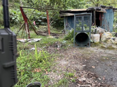 卓溪入侵黑熊再度掠食犬隻 ，巡護隊員險遭攻擊防衛擊槍，黑熊緊急送醫仍不幸身亡，後續協助部落減少人熊衝突。